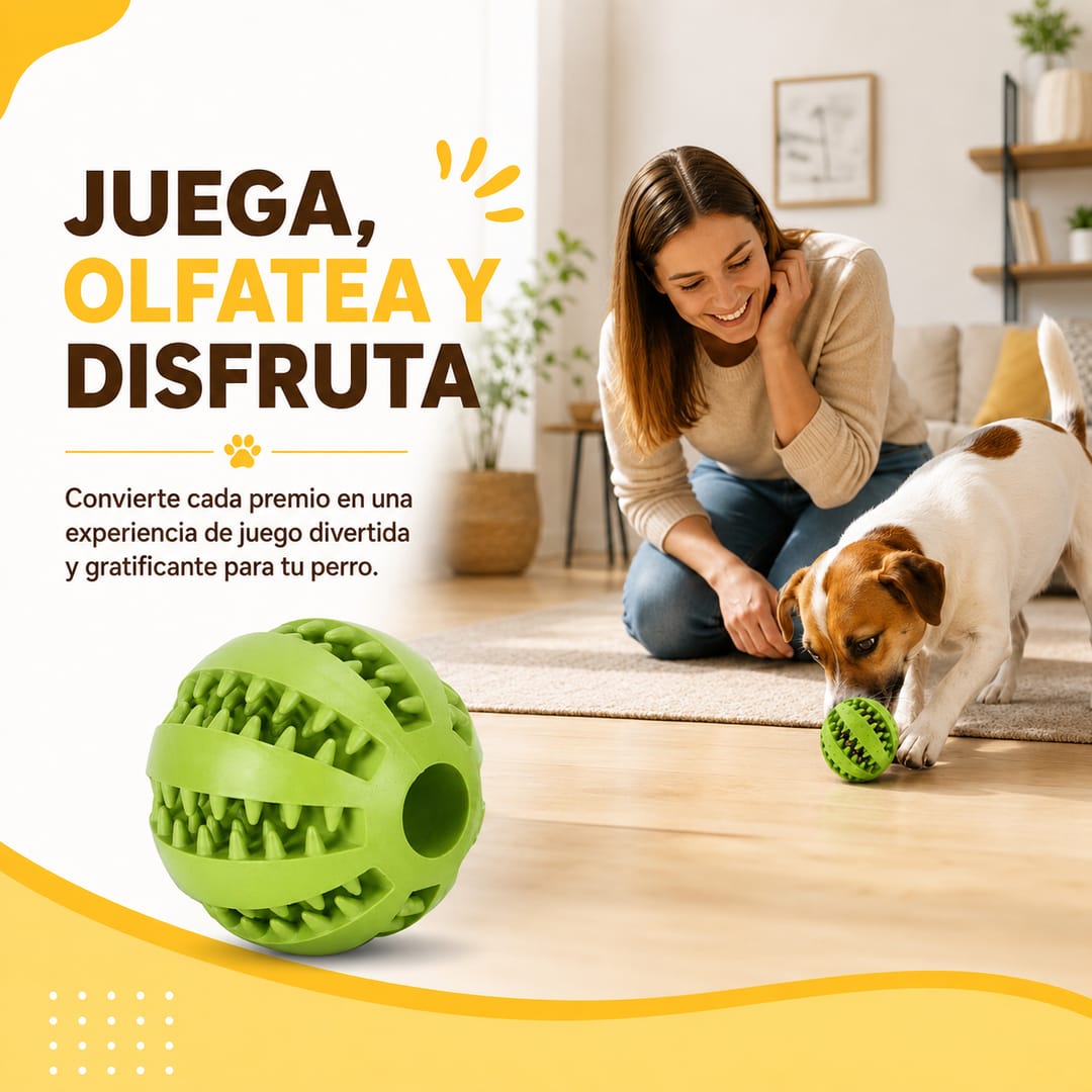 Pelota Porta Comida